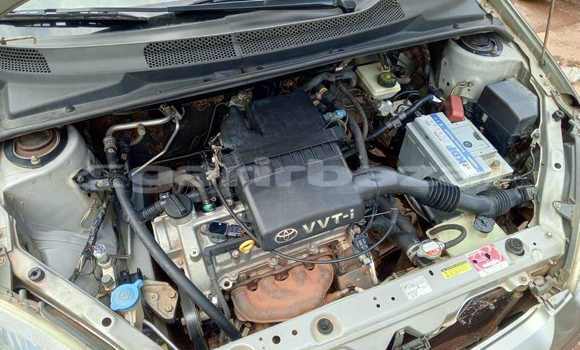 Buy Used Toyota Yaris Silver Car in Yaounde in Central Cameroon Buy Used Toyota Yaris Silver Car in Yaounde in Central Cameroon