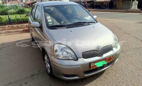 Buy Used Toyota Yaris Silver Car in Yaounde in Central Cameroon Buy Used Toyota Yaris Silver Car in Yaounde in Central Cameroon