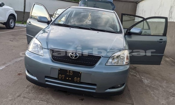 Sayi Sabo Toyota Allex Sauran Mota in Douala a Ƙasar Kamaru Sayi Sabo Toyota Allex Sauran Mota in Douala a Ƙasar Kamaru