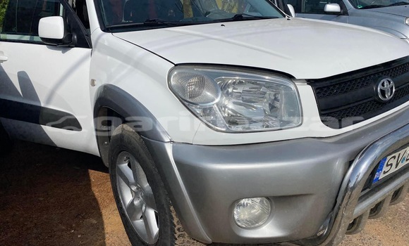 Buy New Toyota RAV4 White Car in Douala in Littoral Cameroon