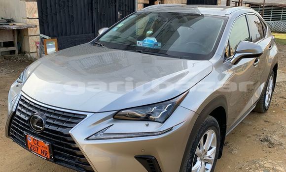Buy Used Lexus NX Silver Car in Douala in Littoral Cameroon
