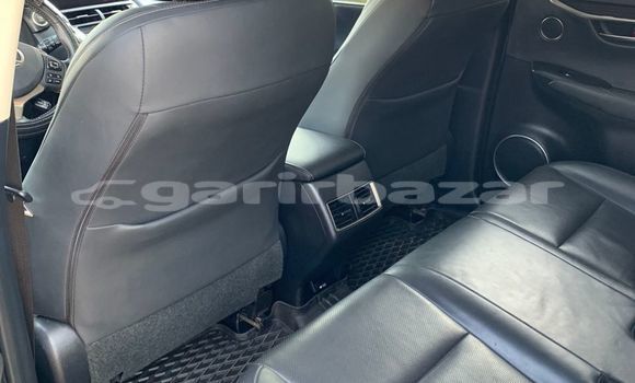 Buy Used Lexus NX Silver Car in Douala in Littoral Cameroon Buy Used Lexus NX Silver Car in Douala in Littoral Cameroon