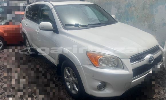 Acheter Import Voiture Toyota RAV4 Blanc à Douala, Littoral Cameroon