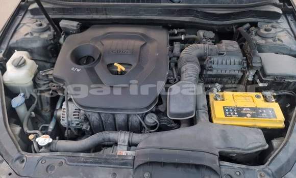 Buy Used Kia K5 Black Car in Yaounde in Central Cameroon Buy Used Kia K5 Black Car in Yaounde in Central Cameroon