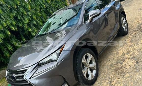 Buy Import Lexus NX Silver Car in Douala in Littoral Cameroon