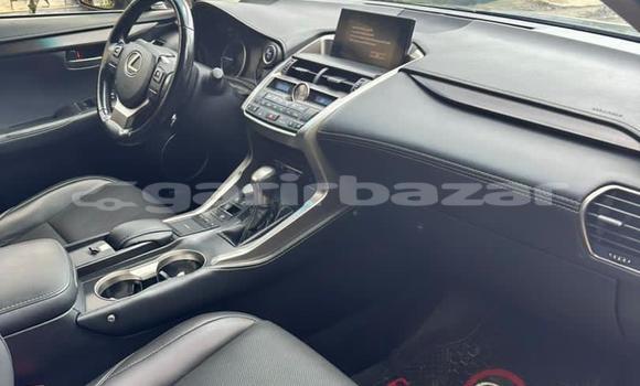 Sayi Imported Lexus NX Azurfa Mota in Douala a Ƙasar Kamaru Sayi Imported Lexus NX Azurfa Mota in Douala a Ƙasar Kamaru