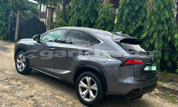 Sayi Imported Lexus NX Azurfa Mota in Douala a Ƙasar Kamaru Sayi Imported Lexus NX Azurfa Mota in Douala a Ƙasar Kamaru