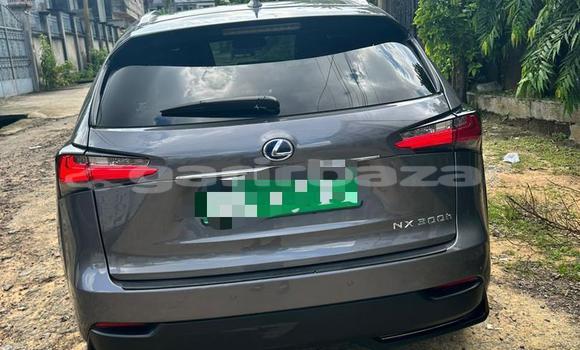 Sayi Imported Lexus NX Azurfa Mota in Douala a Ƙasar Kamaru Sayi Imported Lexus NX Azurfa Mota in Douala a Ƙasar Kamaru