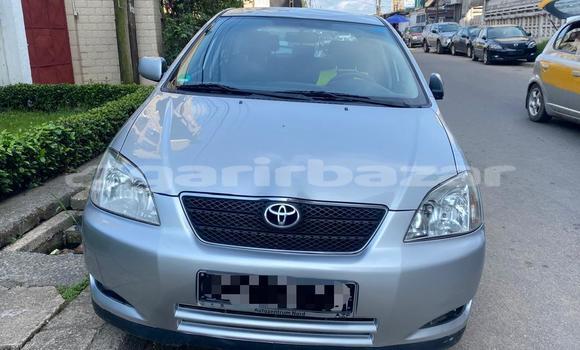 Acheter Import Voiture Toyota Corolla Gris à Douala, Littoral Cameroon Acheter Import Voiture Toyota Corolla Gris à Douala, Littoral Cameroon