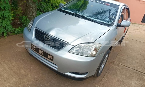 Acheter Occasion Voiture Toyota Corolla Gris à Yaoundé, Central Cameroon