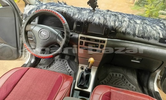 Sayi Na hannu Toyota Corolla Azurfa Mota in Yaounde a Babban Kamaru Sayi Na hannu Toyota Corolla Azurfa Mota in Yaounde a Babban Kamaru