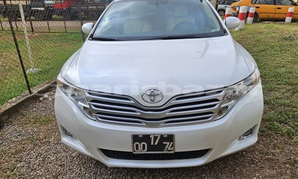 Buy Used Toyota Venza White Car in Yaounde in Central Cameroon
