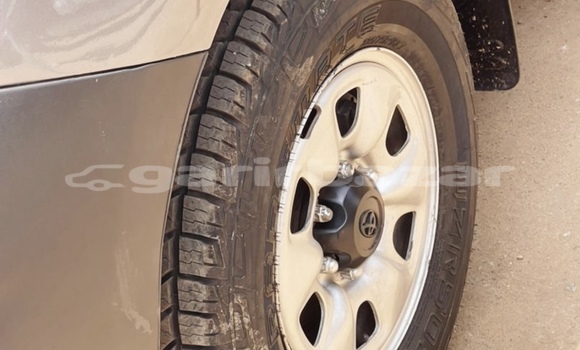Acheter Occasion Voiture Toyota Hiluxe VIGO Autre à Yaoundé, Central Cameroon Acheter Occasion Voiture Toyota Hiluxe VIGO Autre à Yaoundé, Central Cameroon