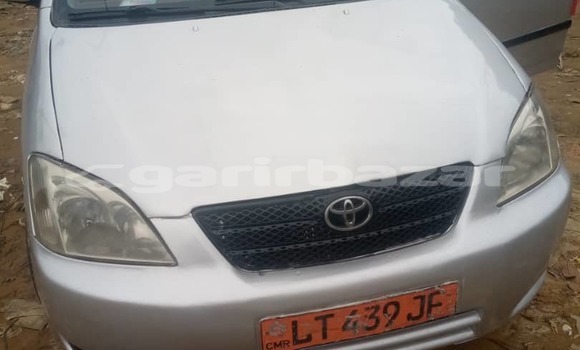 Buy Used Toyota Corolla Silver Car in Douala in Littoral Cameroon