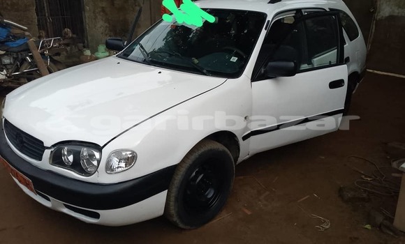 Acheter Occasion Voiture Toyota Corolla Blanc à Douala, Littoral Cameroon