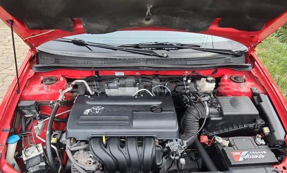 Sayi Imported Toyota Corolla Red Mota in Douala a Ƙasar Kamaru Sayi Imported Toyota Corolla Red Mota in Douala a Ƙasar Kamaru