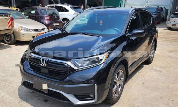 Buy Used Honda CR–V Black Car in Douala in Littoral Cameroon Buy Used Honda CR–V Black Car in Douala in Littoral Cameroon
