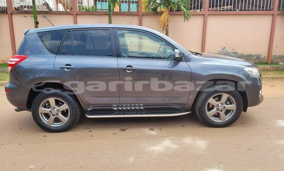 Buy Used Toyota RAV4 Silver Car in Yaounde in Central Cameroon Buy Used Toyota RAV4 Silver Car in Yaounde in Central Cameroon