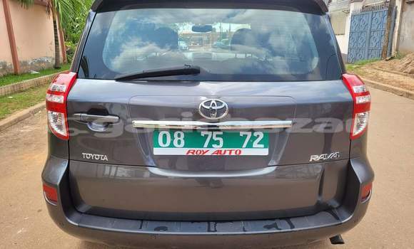 Buy Used Toyota RAV4 Silver Car in Yaounde in Central Cameroon Buy Used Toyota RAV4 Silver Car in Yaounde in Central Cameroon