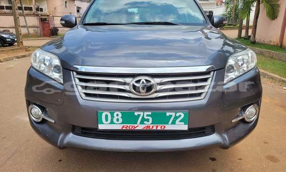Buy Used Toyota RAV4 Silver Car in Yaounde in Central Cameroon Buy Used Toyota RAV4 Silver Car in Yaounde in Central Cameroon