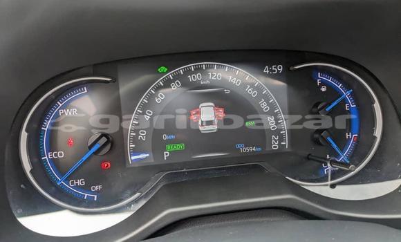 Buy Import Toyota RAV4 White Car in Douala in Littoral Cameroon Buy Import Toyota RAV4 White Car in Douala in Littoral Cameroon