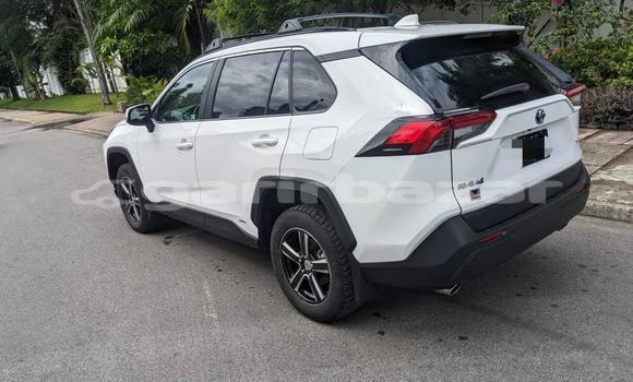 Buy Import Toyota RAV4 White Car in Douala in Littoral Cameroon Buy Import Toyota RAV4 White Car in Douala in Littoral Cameroon