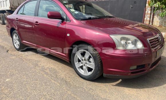 Buy Used Toyota Avensis Red Car in Douala in Littoral Cameroon Buy Used Toyota Avensis Red Car in Douala in Littoral Cameroon
