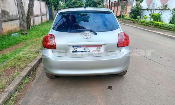 Buy Used Toyota Auris Brown Car in Yaounde in Central Cameroon Buy Used Toyota Auris Brown Car in Yaounde in Central Cameroon