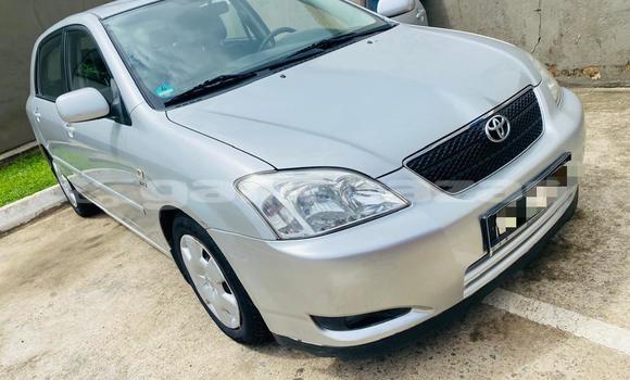 Buy Import Toyota Corolla Silver Car in Douala in Littoral Cameroon