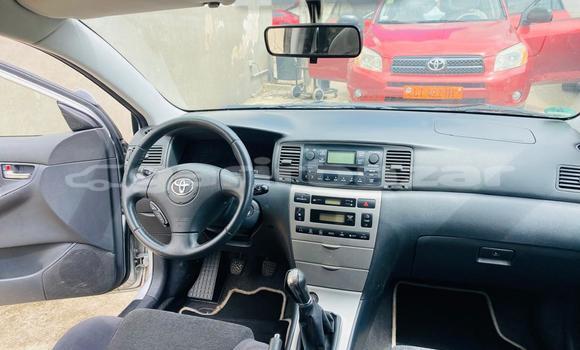 Sayi Imported Toyota Corolla Azurfa Mota in Douala a Ƙasar Kamaru Sayi Imported Toyota Corolla Azurfa Mota in Douala a Ƙasar Kamaru