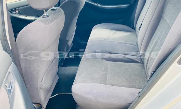 Sayi Imported Toyota Corolla Azurfa Mota in Douala a Ƙasar Kamaru Sayi Imported Toyota Corolla Azurfa Mota in Douala a Ƙasar Kamaru