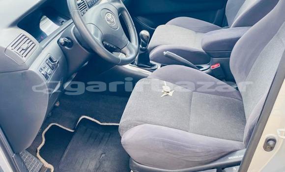 Sayi Imported Toyota Corolla Azurfa Mota in Douala a Ƙasar Kamaru Sayi Imported Toyota Corolla Azurfa Mota in Douala a Ƙasar Kamaru