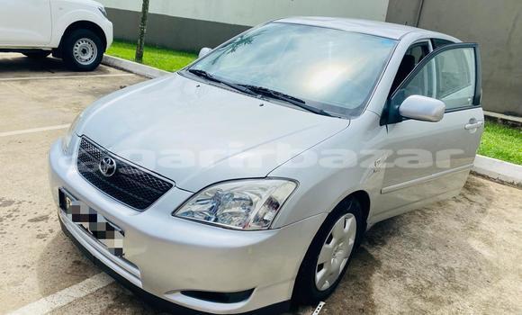 Sayi Imported Toyota Corolla Azurfa Mota in Douala a Ƙasar Kamaru Sayi Imported Toyota Corolla Azurfa Mota in Douala a Ƙasar Kamaru