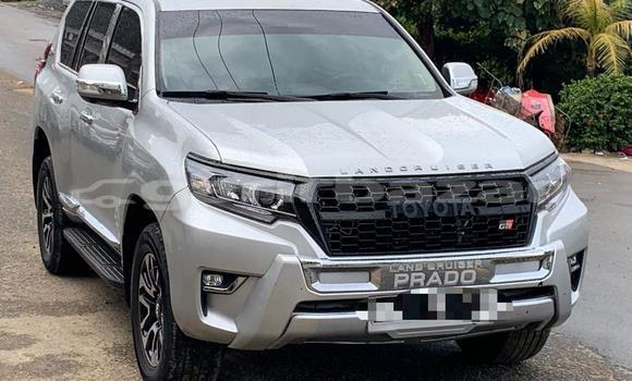Acheter Occasion Voiture Toyota Land Cruiser Prado Gris à Douala, Littoral Cameroon