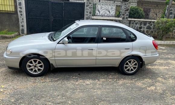 Buy Import Toyota Corolla Silver Car in Douala in Littoral Cameroon Buy Import Toyota Corolla Silver Car in Douala in Littoral Cameroon