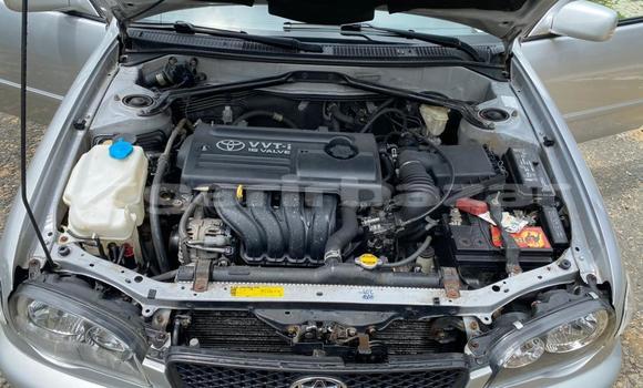 Buy Import Toyota Corolla Silver Car in Douala in Littoral Cameroon Buy Import Toyota Corolla Silver Car in Douala in Littoral Cameroon