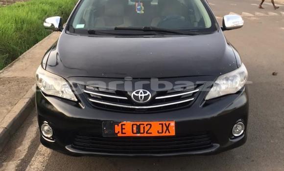 Buy Used Toyota Corolla Black Car in Buea in Southwest Cameroon