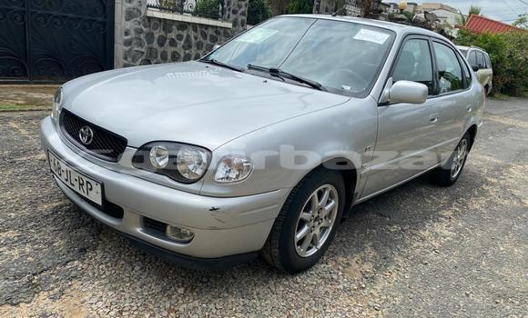 Buy Import Toyota Corolla Silver Car in Douala in Littoral Cameroon Buy Import Toyota Corolla Silver Car in Douala in Littoral Cameroon