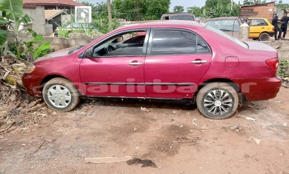 Buy Used Toyota Corolla Red Car in Yaounde in Central Cameroon