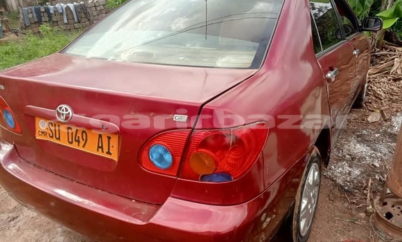 Acheter Occasion Voiture Toyota Corolla Rouge à Yaoundé, Central Cameroon Acheter Occasion Voiture Toyota Corolla Rouge à Yaoundé, Central Cameroon