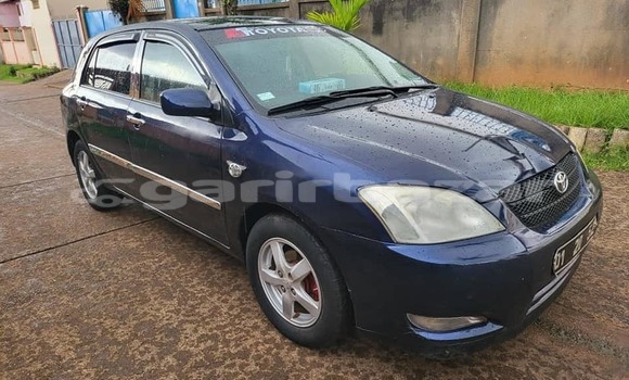 Acheter Occasion Voiture Toyota Corolla Bleu à Yaoundé, Central Cameroon Acheter Occasion Voiture Toyota Corolla Bleu à Yaoundé, Central Cameroon