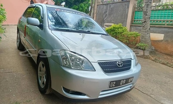 Acheter Occasion Voiture Toyota Corolla Autre à Yaoundé, Central Cameroon Acheter Occasion Voiture Toyota Corolla Autre à Yaoundé, Central Cameroon