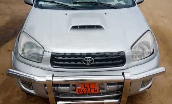Buy Used Toyota RAV4 Other Car in Douala in Littoral Cameroon