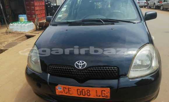 Buy Used Toyota Yaris Black Car in Douala in Littoral Cameroon