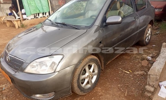 Sayi Na hannu Toyota Corolla Sauran Mota in Douala a Ƙasar Kamaru