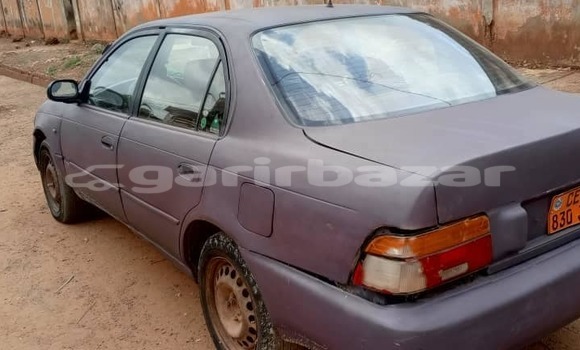 Sayi Na hannu Toyota Corolla Sauran Mota in Yaounde a Babban Kamaru Sayi Na hannu Toyota Corolla Sauran Mota in Yaounde a Babban Kamaru
