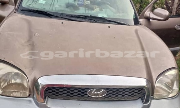Acheter Occasion Voiture Hyundai Santa Fe Autre à Yaoundé, Central Cameroon
