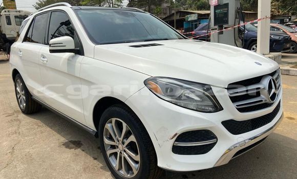 Buy Import Mercedes‒Benz GLE White Car in Douala in Littoral Cameroon
