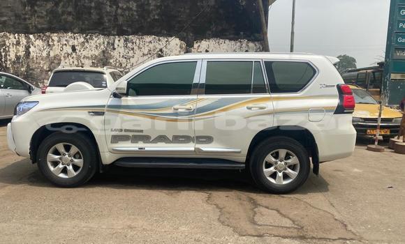 Acheter Import Voiture Toyota Land Cruiser Prado Blanc à Douala, Littoral Cameroon