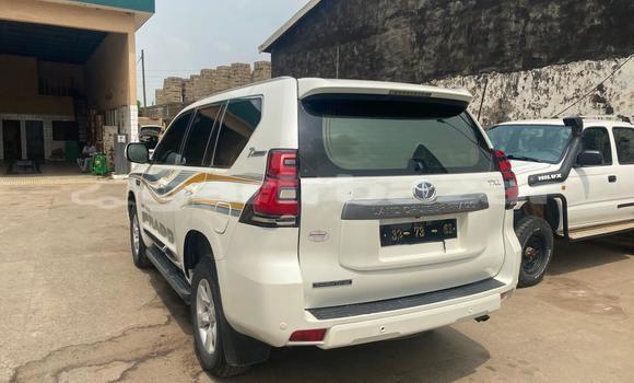 Acheter Import Voiture Toyota Land Cruiser Prado Blanc à Douala, Littoral Cameroon Acheter Import Voiture Toyota Land Cruiser Prado Blanc à Douala, Littoral Cameroon